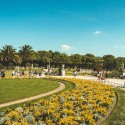 Grow Your Landscaping Business with a Professional Website Design