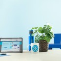 Streamline Your Emails for Increased Productivity