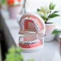 Brighten Your Practice’s Future with Targeted Orthodontic SEO Methods