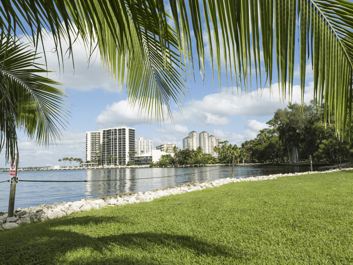 A waterfront scene with tall buildings, palm trees, and green grass under a blue sky with clouds. The shoreline is lined with rocks, and palm fronds frame the image from above.