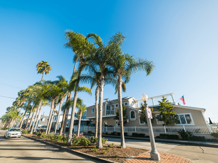 A row of tall palm trees lines a sunny street with a beige house featuring white trim and an American flag. A car is parked on the left, and the sky is clear and blue.