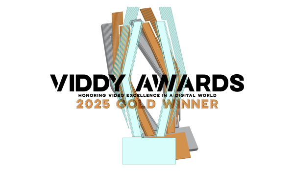 Viddy Award 2025
