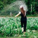 Cultivating Digital Authority: The 2026 Guide to Search Dominance for Farms and Ag-Tech